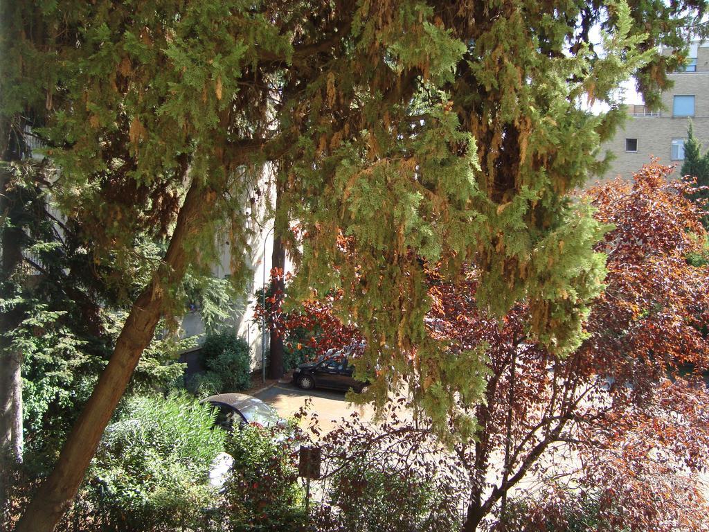 Villa Sciarra - Rome, Rome